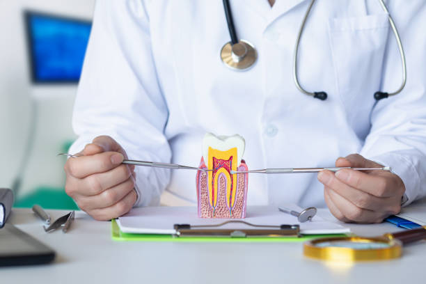 Best Emergency Dental Services for Seniors in St James, MD